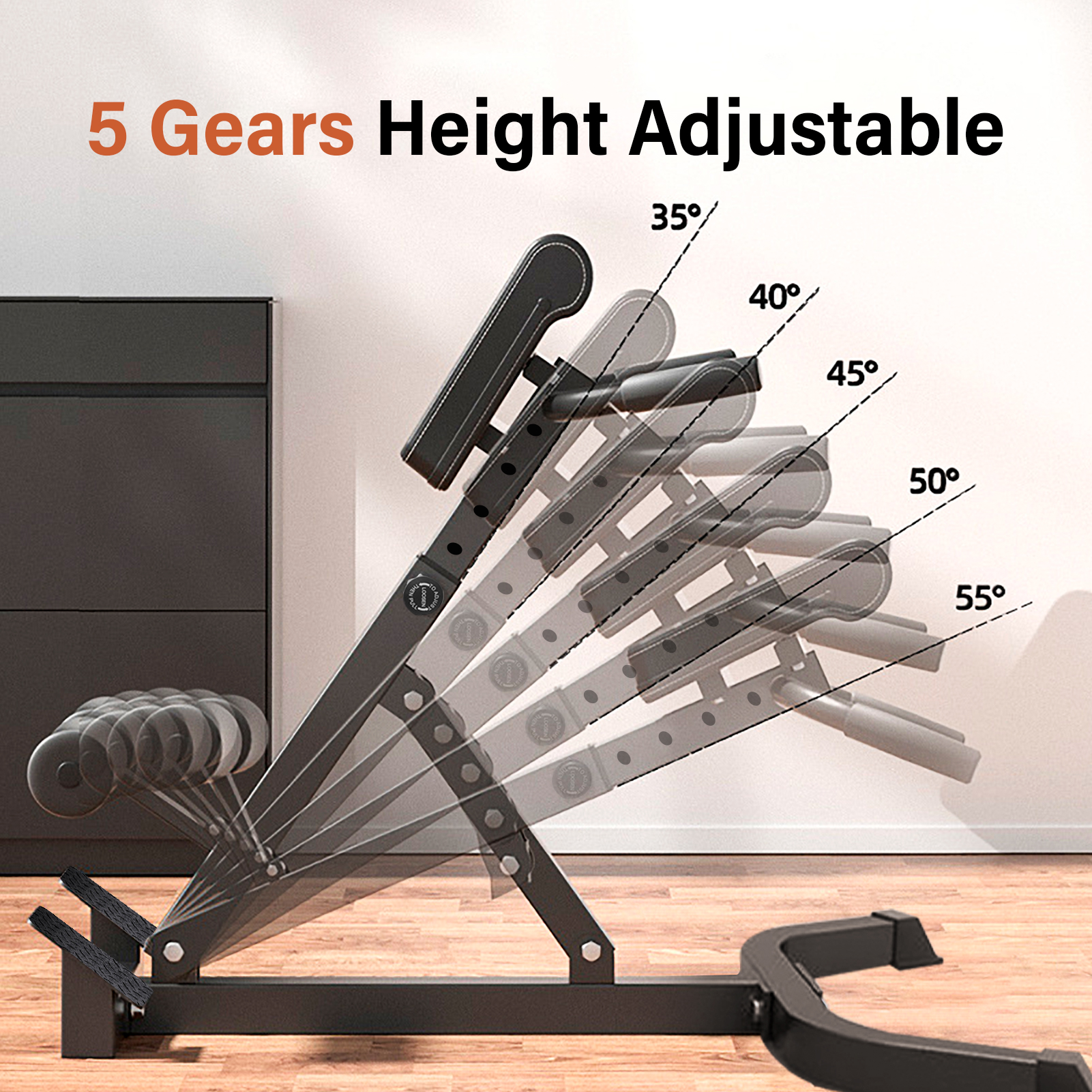 Home Gym Nala - Adjustable Roman Chair for Home Gym,