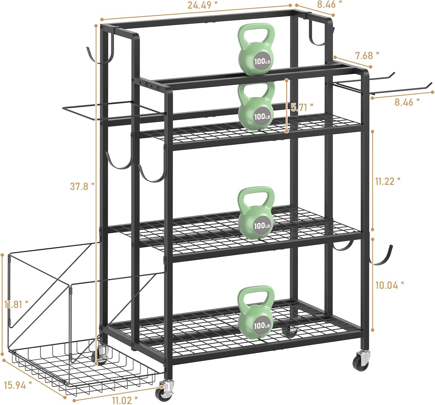 Home Gym Storage, No Material  – Home Gym Dumbbells Bewertung und Preis