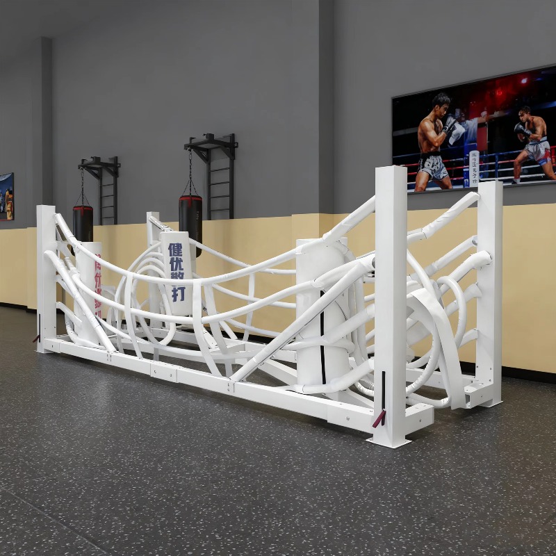 Foldable Gym Boxing Ring Set S – Home Gym Equipment Set Bewertung und Preis