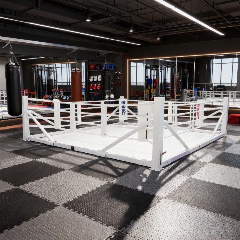 Foldable Gym Boxing Ring Set S – Home Gym Equipment Set Bewertung und Preis