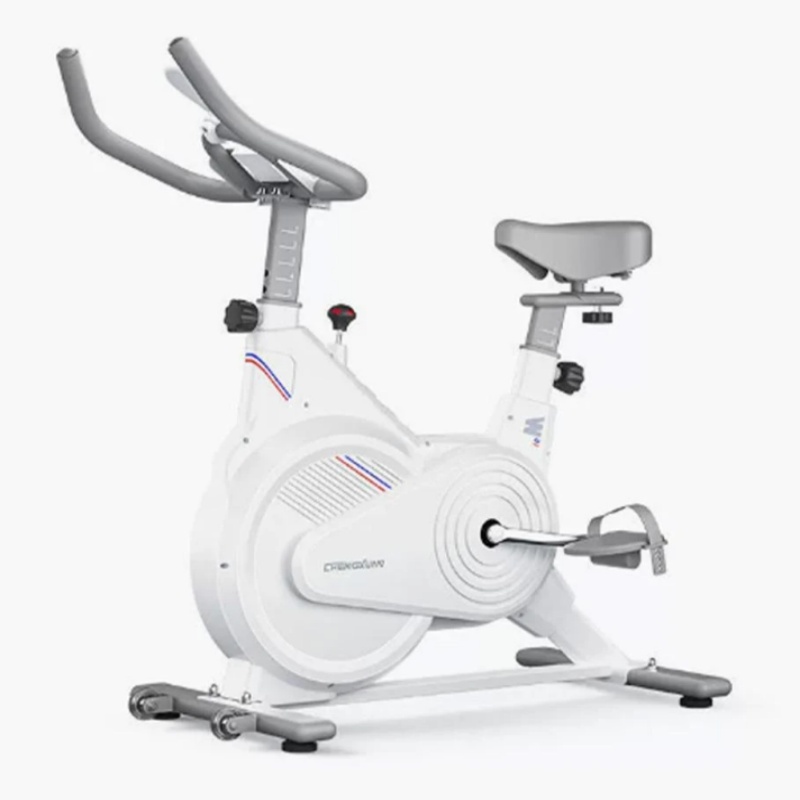 Indoor Stationary Spin Bike, S – Home Gym No Equipment Bewertung und Preis