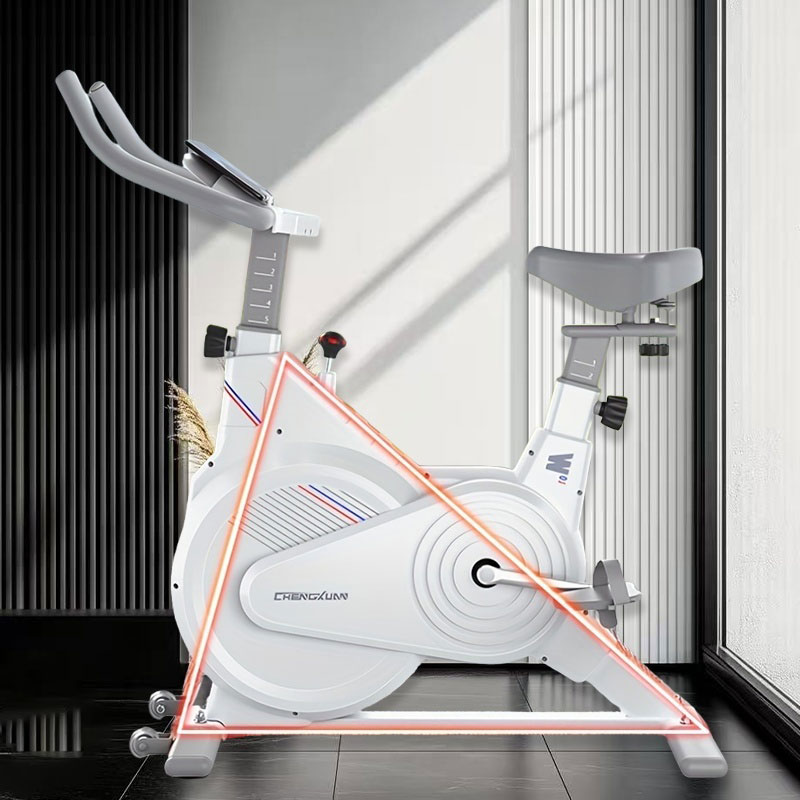 Indoor Stationary Spin Bike, S – Home Gym No Equipment Bewertung und Preis