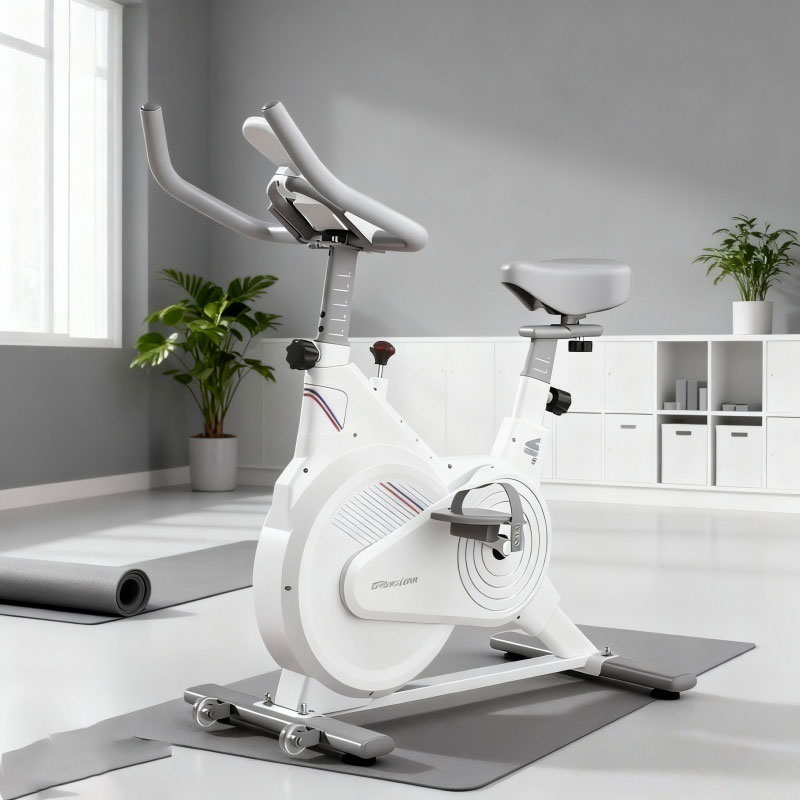Indoor Stationary Spin Bike, S – Home Gym No Equipment Bewertung und Preis